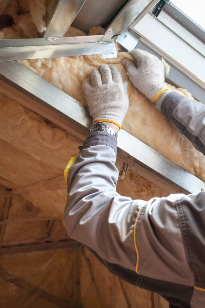 Best Residential Insulation in Sioux City, IA